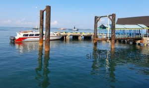IMG_20210429_130409