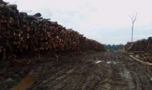 SAVE_20210826_201223