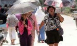 IMG_20211012_073122