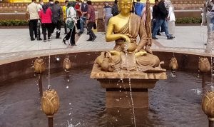 IMG_20220116_161407