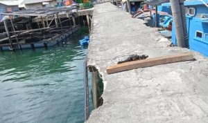 Screenshot_20260326-175007_WhatsApp